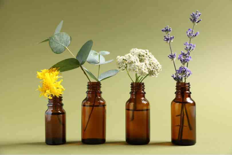 Essential Oils Blending Guide and Chart