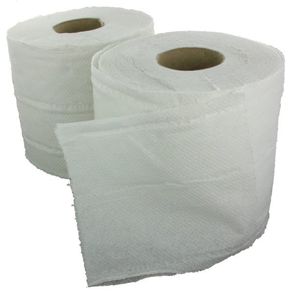 Cloud 9 Toilet Rolls 2ply 10x4 pack - SalonServe Hair & Beauty Supplies Ltd