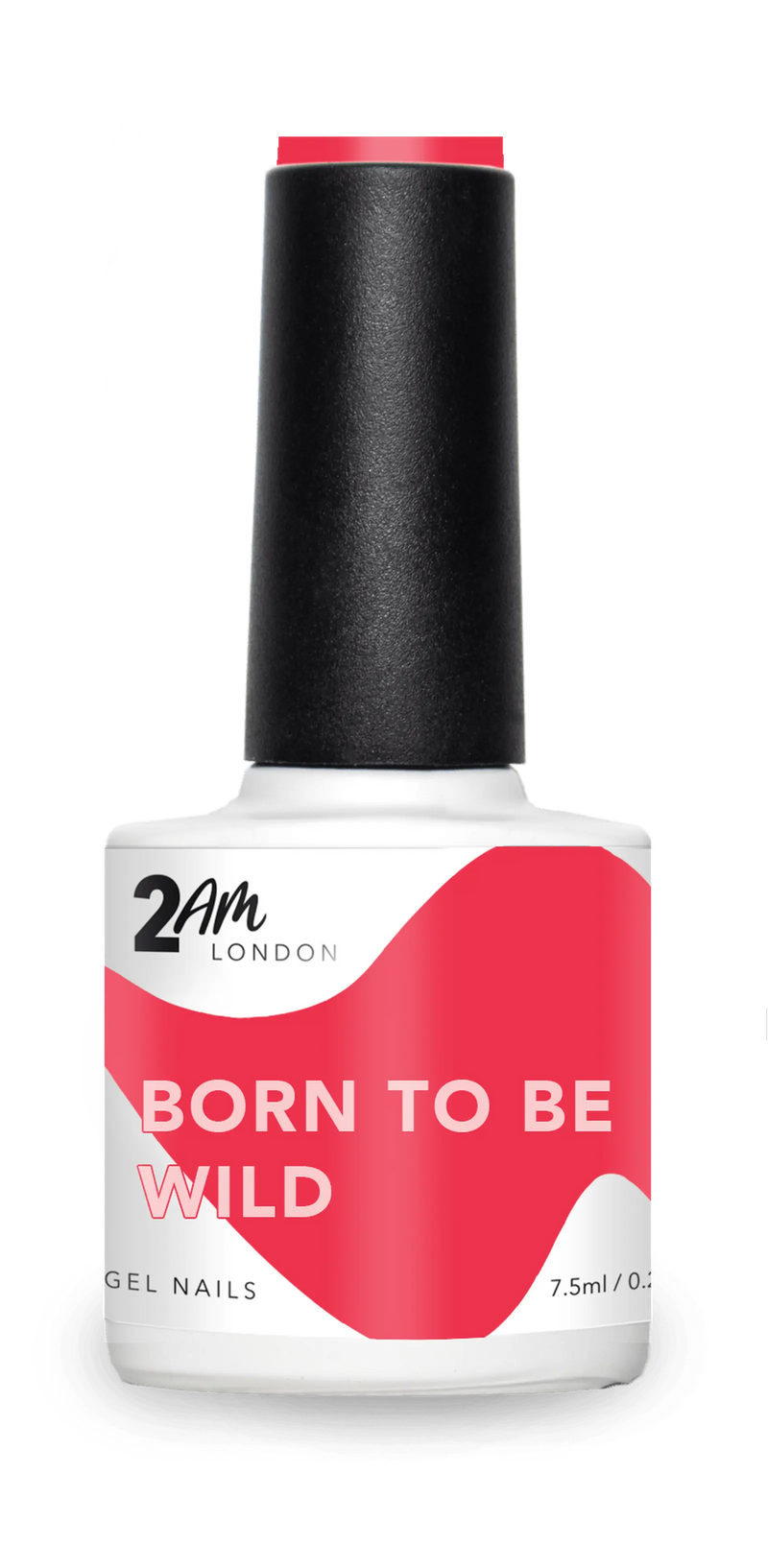 born-to-be-wild_Widget