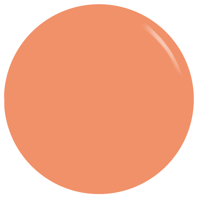 2AM Gel Polish Wild Side