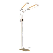 Modern floor lamp with two adjustable reading lights on a white background