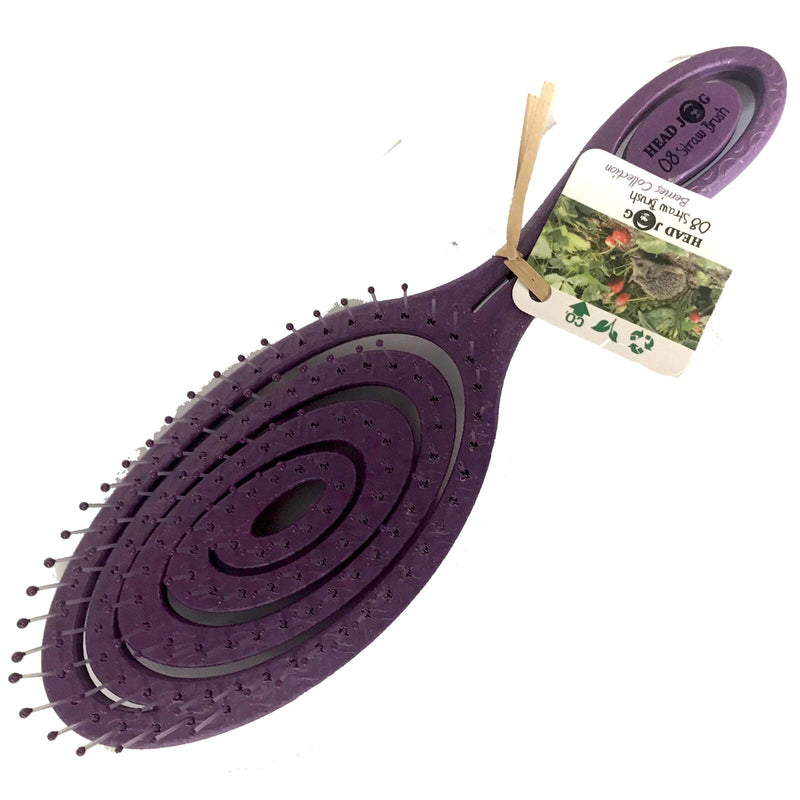 Straw Brush Berries blackberry