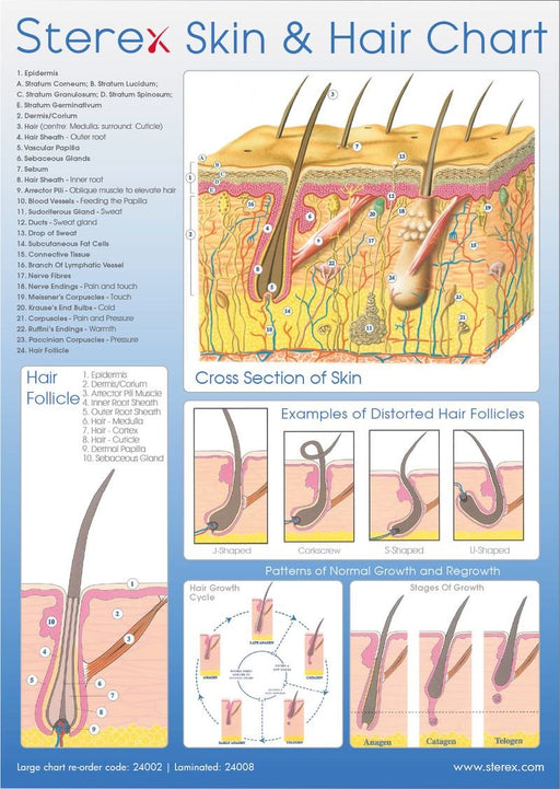 Sterex Skin & Hair Chart A2 Size - SalonServe Hair & Beauty Supplies Ltd