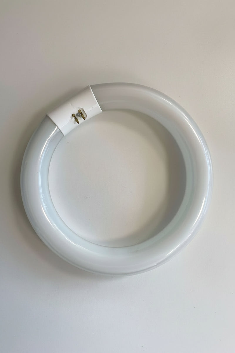 Circular light bulb on a white background