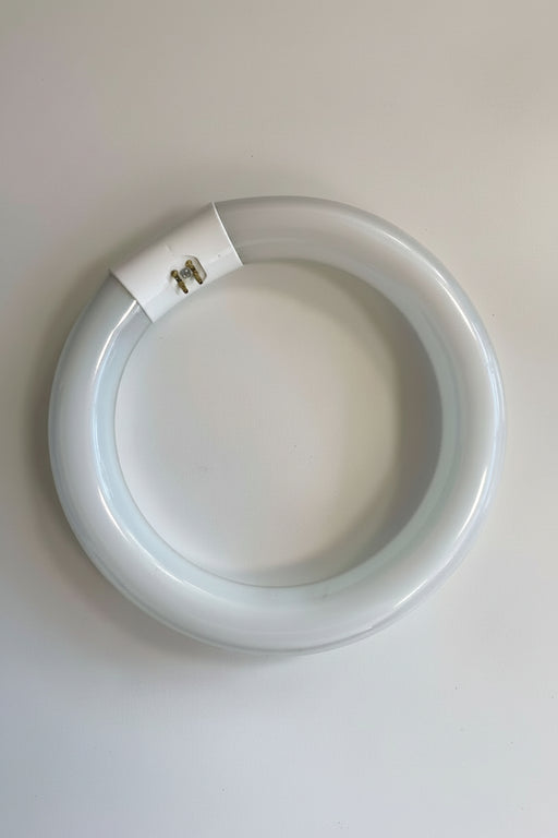 Circular light bulb on a white background