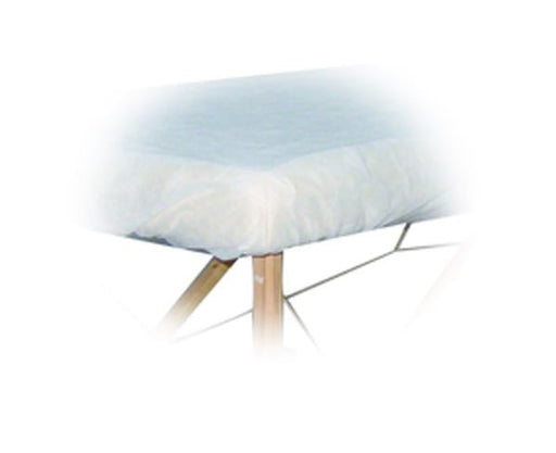 Disposable couch cover