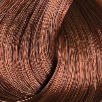 colorissimo_DARK_CHESTNUT_BLONDE_6DM