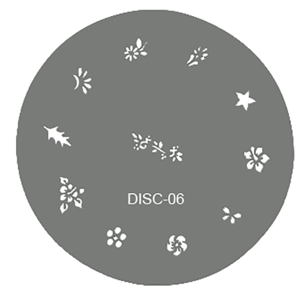 DISC06