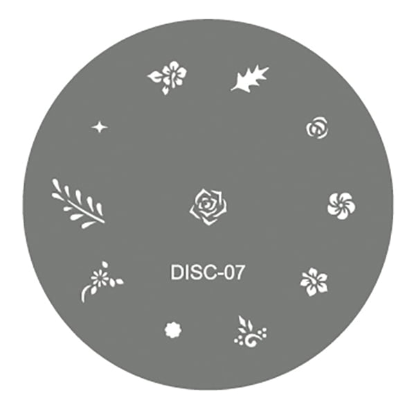 DISC07