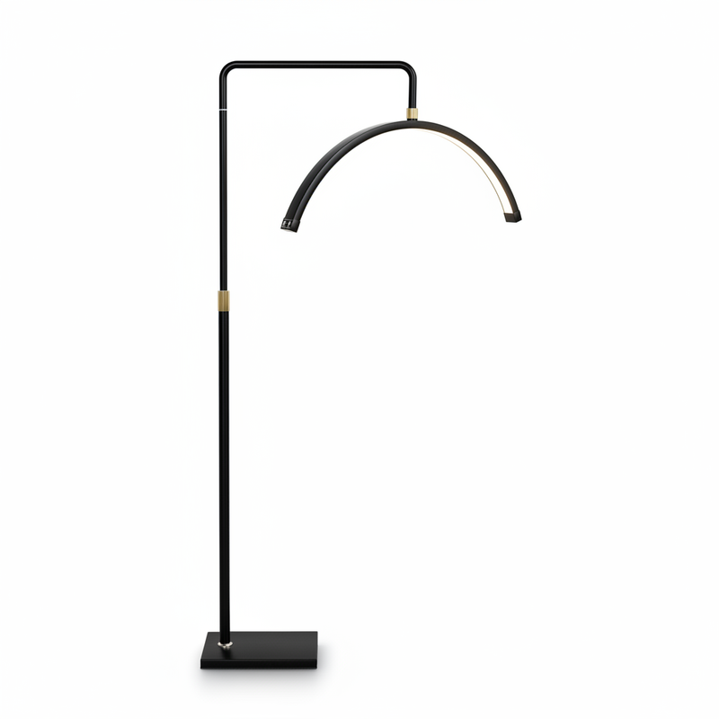 Modern black floor lamp with curved arm on a white background