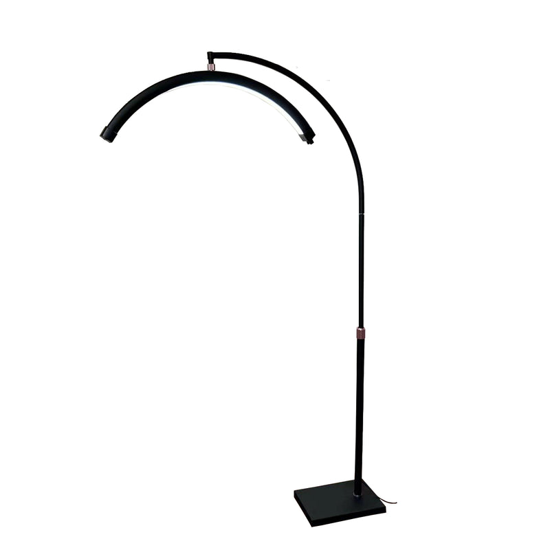 Black floor lamp with curved arm on a white background