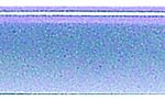 Large Cushioned Buffer