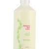 Botanical Foot Lotion