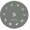 Stainless Steel Patterned Disc - Image 2