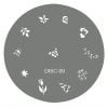 Stainless Steel Patterned Disc - Image 5