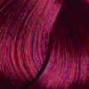 Colorissimo 100ml Permanent Hair Colour - Dark Vivid Red Blonde 6.66 - Image 2