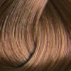 Colorissimo 100ml Permanent Hair Colour - Golden Blonde 7.3 - Image 2