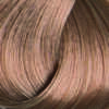 Colorissimo 100ml Permanent Hair Colour - Light Natural Warm Blonde 8.03 - Image 2
