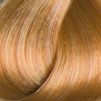 Colorissimo 100ml Permanent Hair Colour - Very Light Golden Blonde 9.3 - Image 2