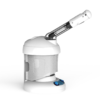 Table Top Steamer