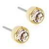 Blomdahl Golden Titanium Bezel 6mm Earrings