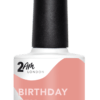 2AM Gel Polish Birthday Sex